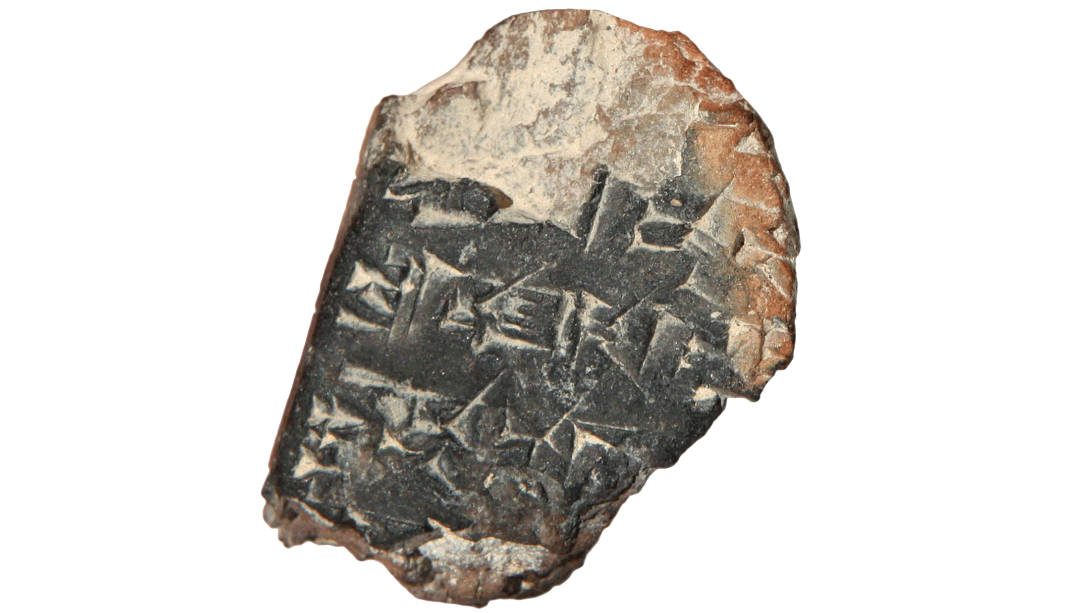 Cuneiform White